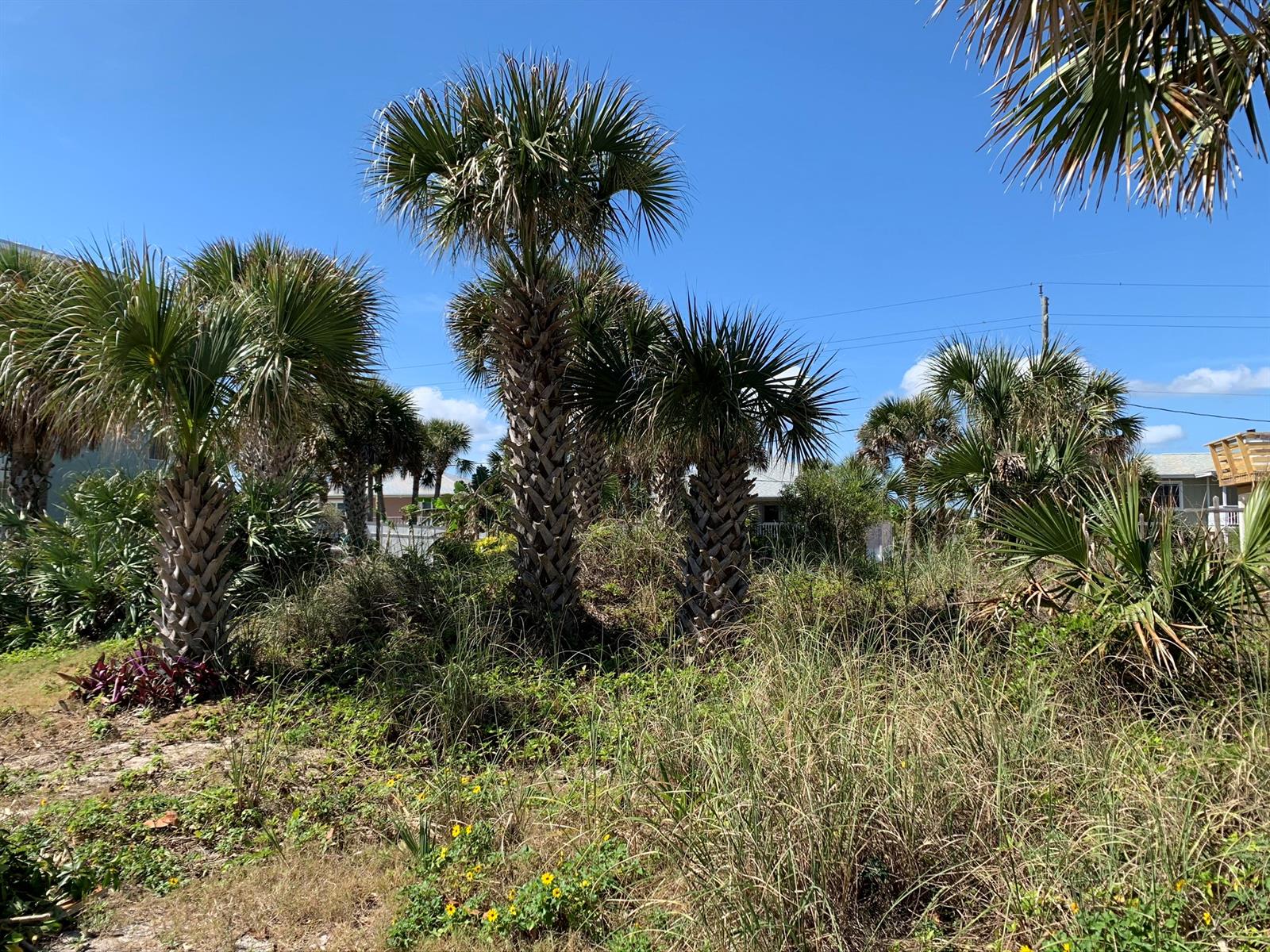 Silver Sands Sec D - Land