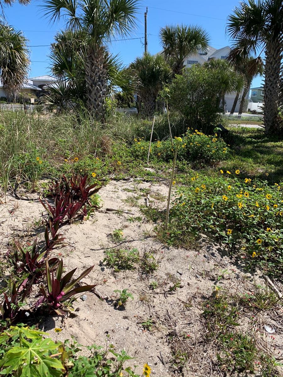 Silver Sands Sec D - Land