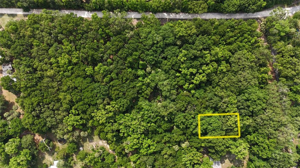 Photo of 2381 N Junglecamp Road, Inverness, FL 34453 (MLS # OM727981)