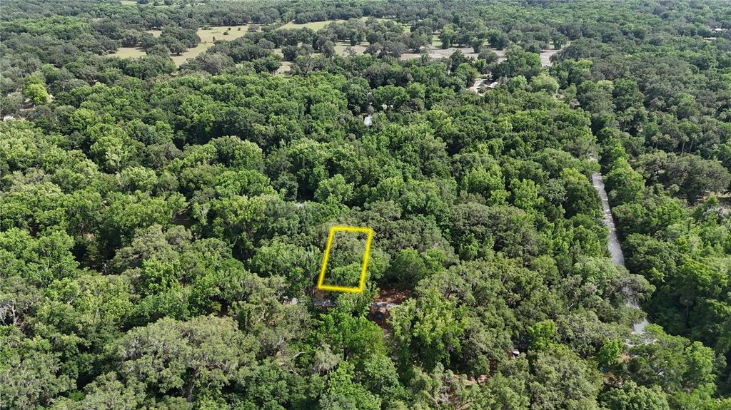 Photo of 2381 N Junglecamp Road, Inverness, FL 34453 (MLS # OM727981)
