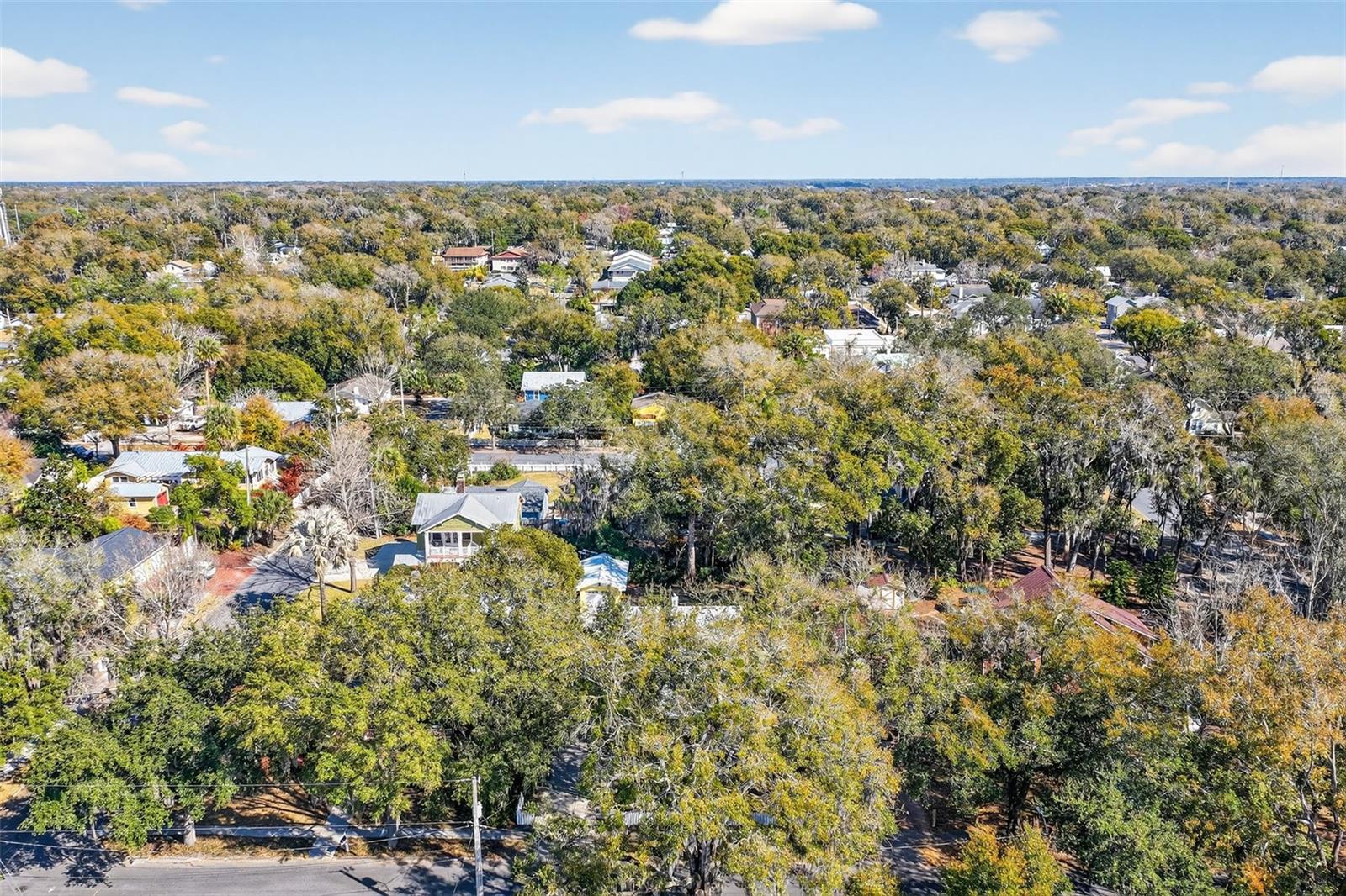 MOUNT DORA - Residential