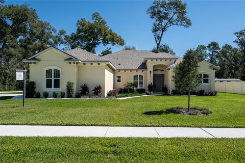 2210 S SPARKMAN AVENUE ORANGE CITY FL 32763