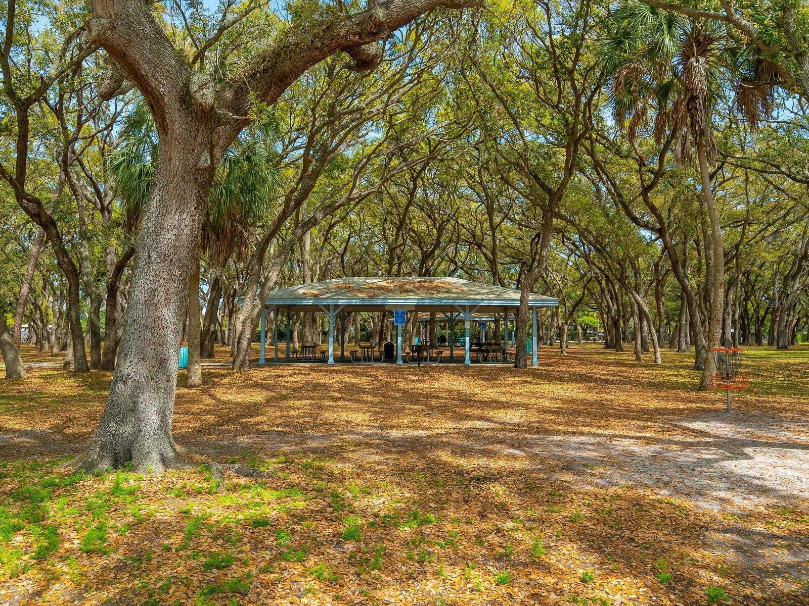 CAPE TOWN VILLAGE PH I - Residential