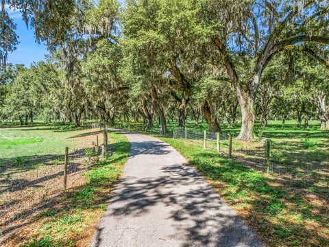 Tiny photo for 20 Cr 543, Bushnell, FL 33513 (MLS # TB8523189)