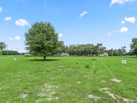 Tiny photo for 20 Cr 543, Bushnell, FL 33513 (MLS # TB8523189)