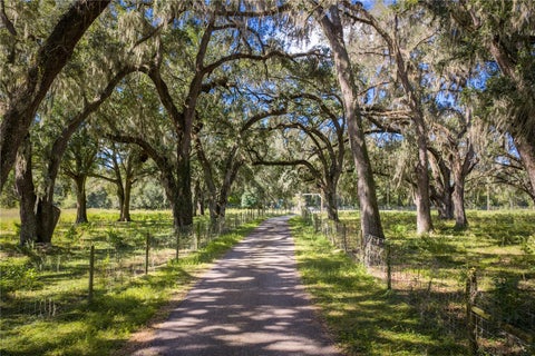 Tiny photo for 20 Cr 543, Bushnell, FL 33513 (MLS # TB8523189)