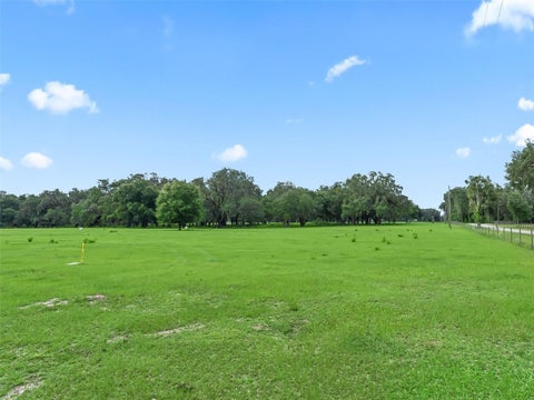 Tiny photo for 20 Cr 543, Bushnell, FL 33513 (MLS # TB8523189)