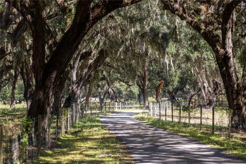 Tiny photo for 20 Cr 543, Bushnell, FL 33513 (MLS # TB8523189)