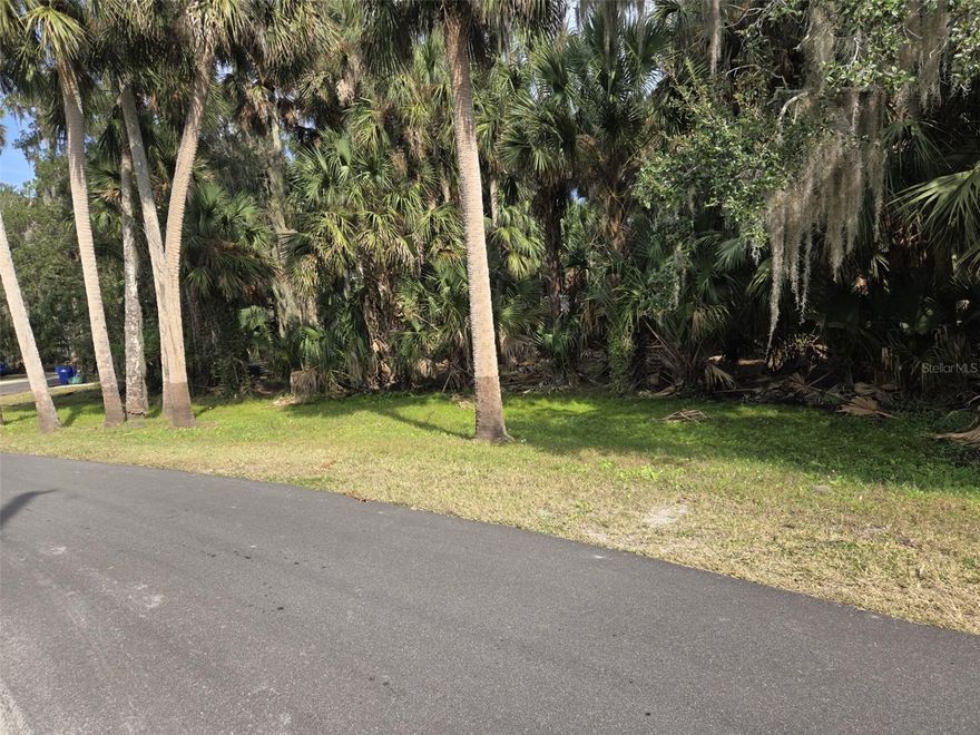 Single Family Lot, almost 1/2 wooded acre in Unique Stone Island is waiting for you to build your next home. This conveniently located Lakefront community is perfect for the boating enthusiast that likes to explore Florida. Stone Island Estates is a remarkable private community with horse stable, riding arena, pastures, tennis & pickle ball court, community pavilion, fire pit, playground and exciting events, including a dog show, barn dance, Easter egg hunt, 4th of July parade, golf cart races, Halloween party, ladies' spring luncheon, and Santa in the park. Enjoy the boat ramp on Lake Monroe, great for boating, fishing, and connects with the Saint John's River, 14 lakes, springs and parks.