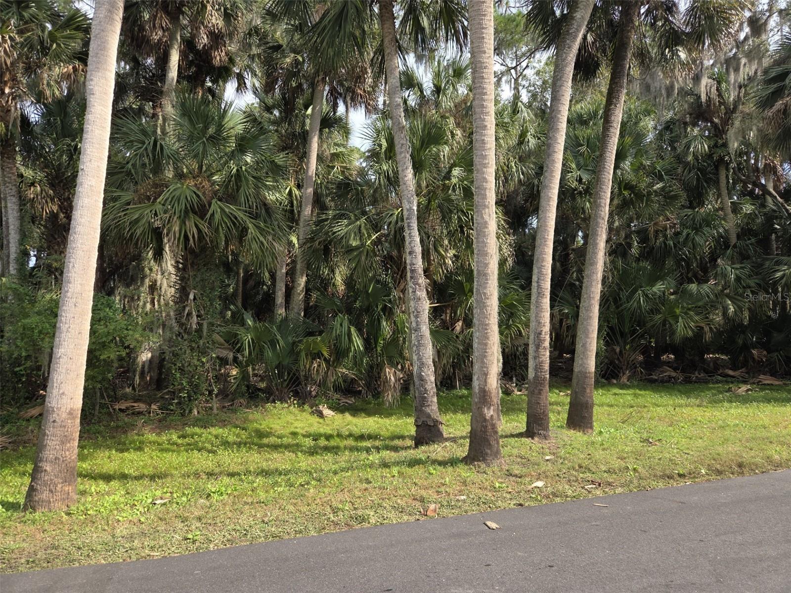 STONE ISLAND ESTATES UNIT 04 & 06 - Land