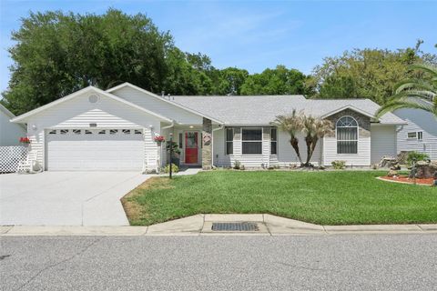 Photo of 25933 Newcombe Circle, Leesburg, FL 34748 (MLS # G5110469)