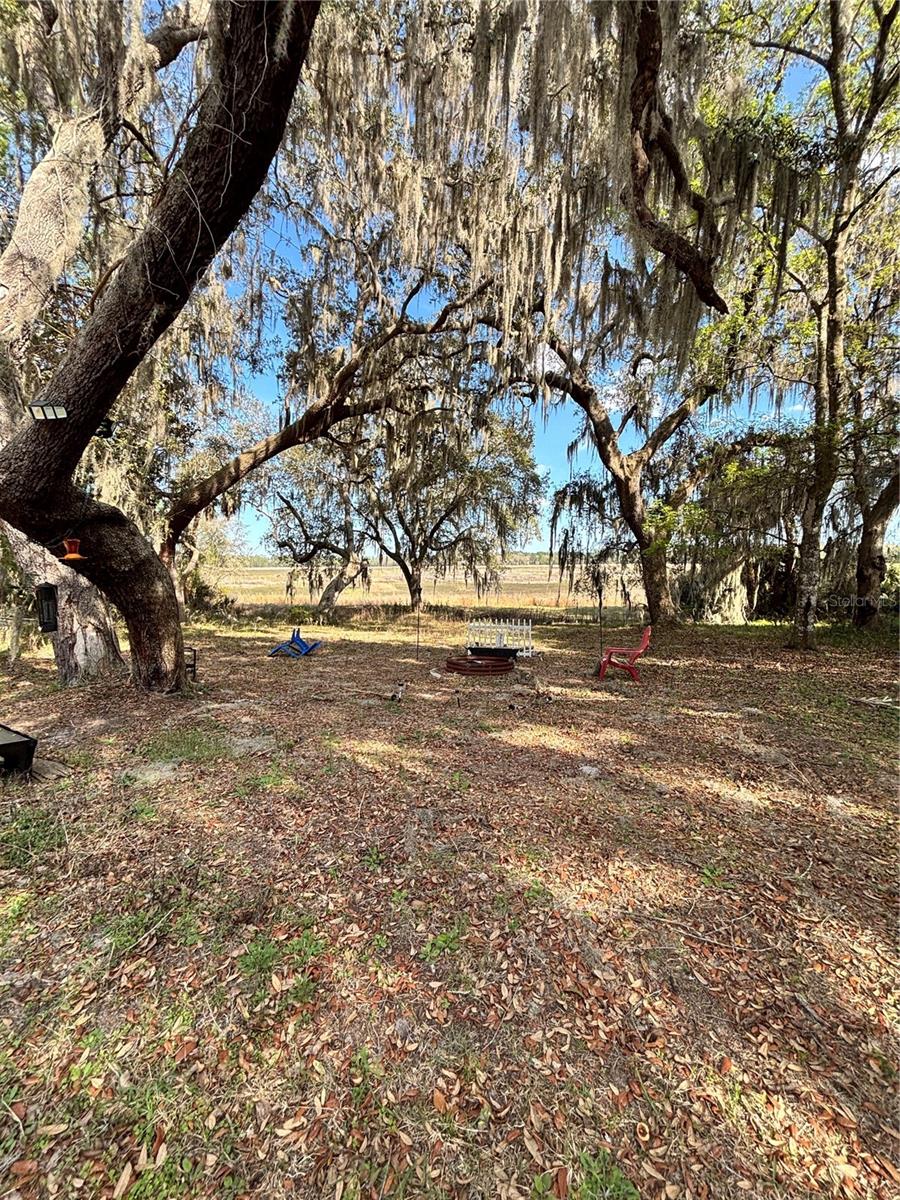 TOWERING OAK - Residential