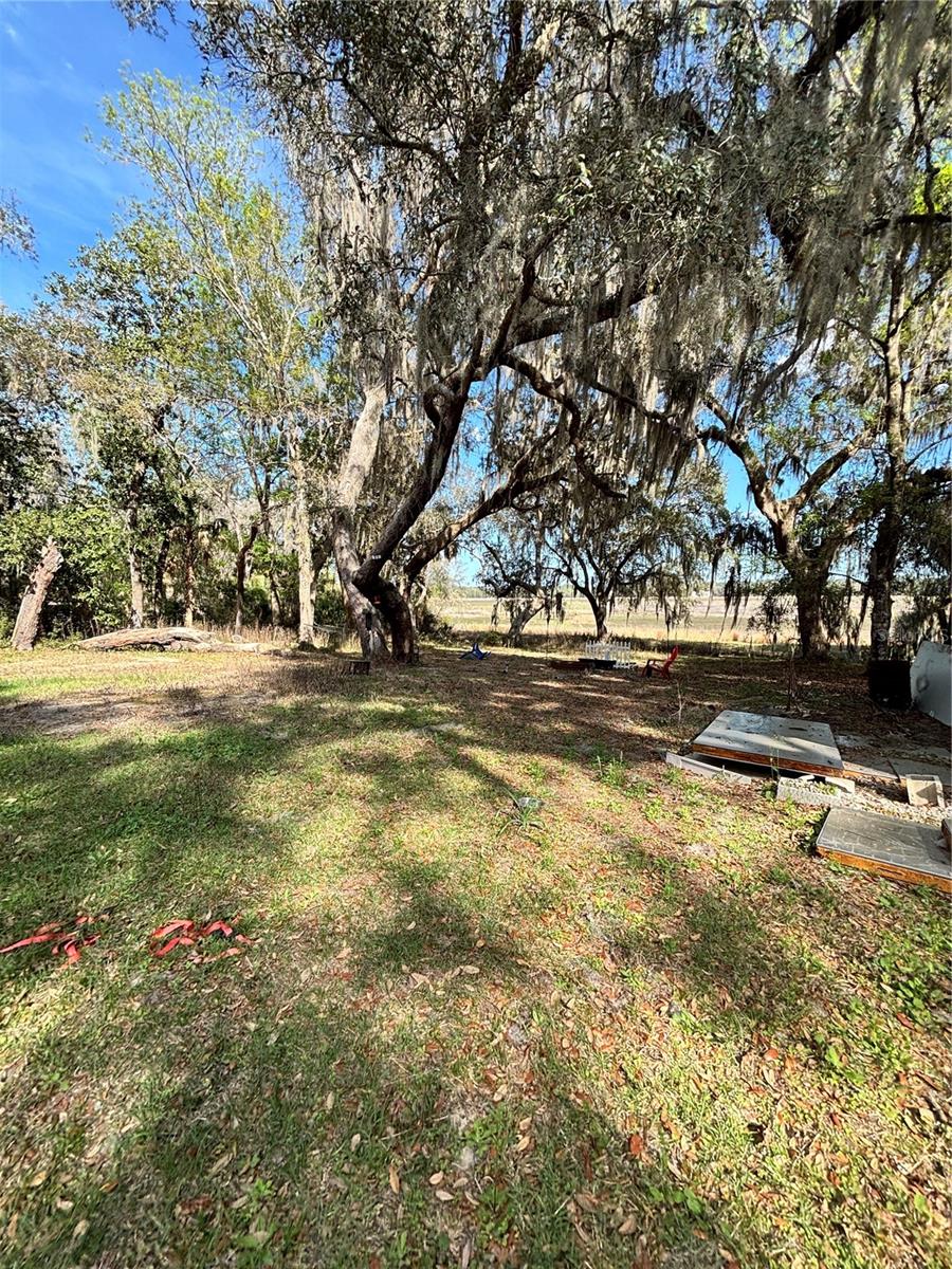 TOWERING OAK - Residential
