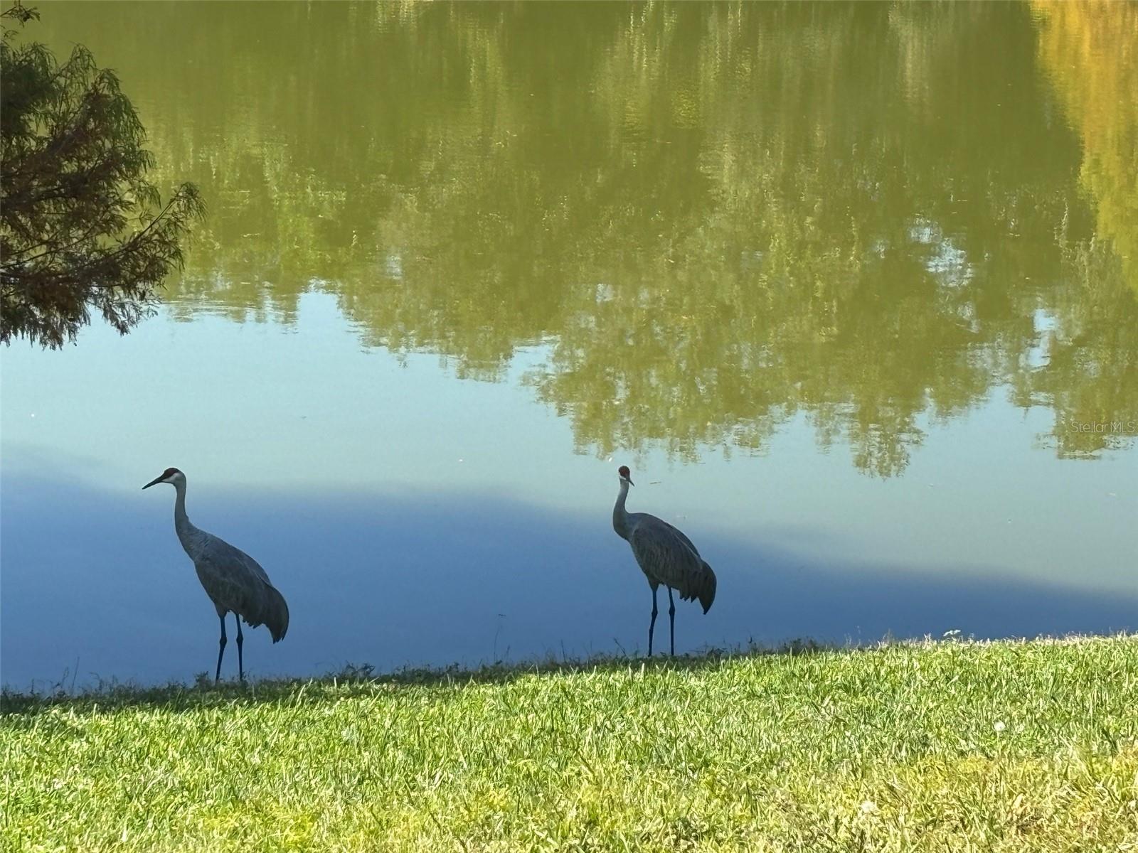 LEGACY PARK RESIDENTIAL PH 1 & 2 A REP - Residential Lease