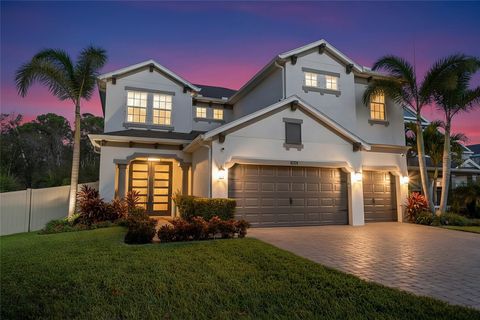 12123 RUSTIC RIVER WAY TAMPA FL 33635