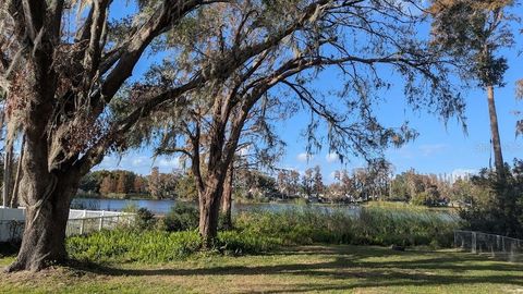 A home in LAND O LAKES