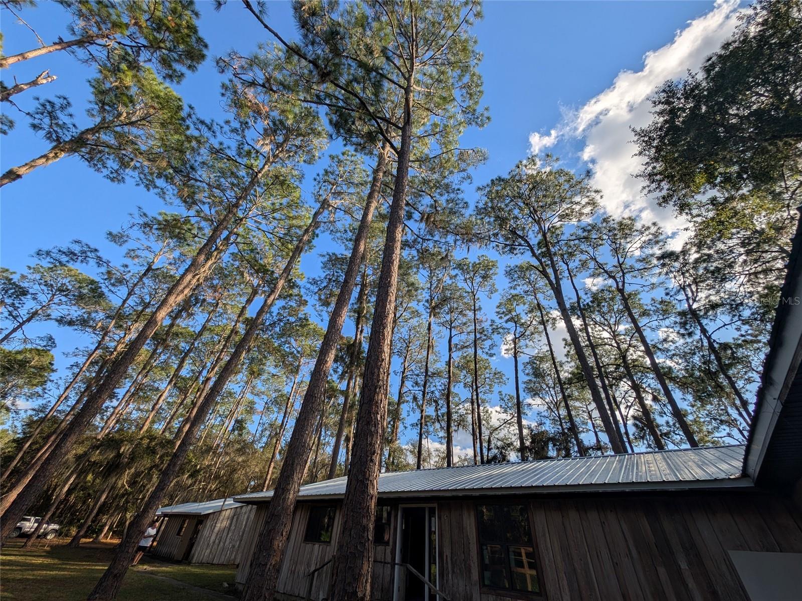 STAR LAKE FOREST - Residential