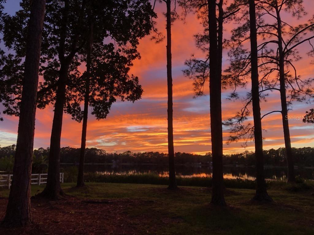 STAR LAKE FOREST - Residential