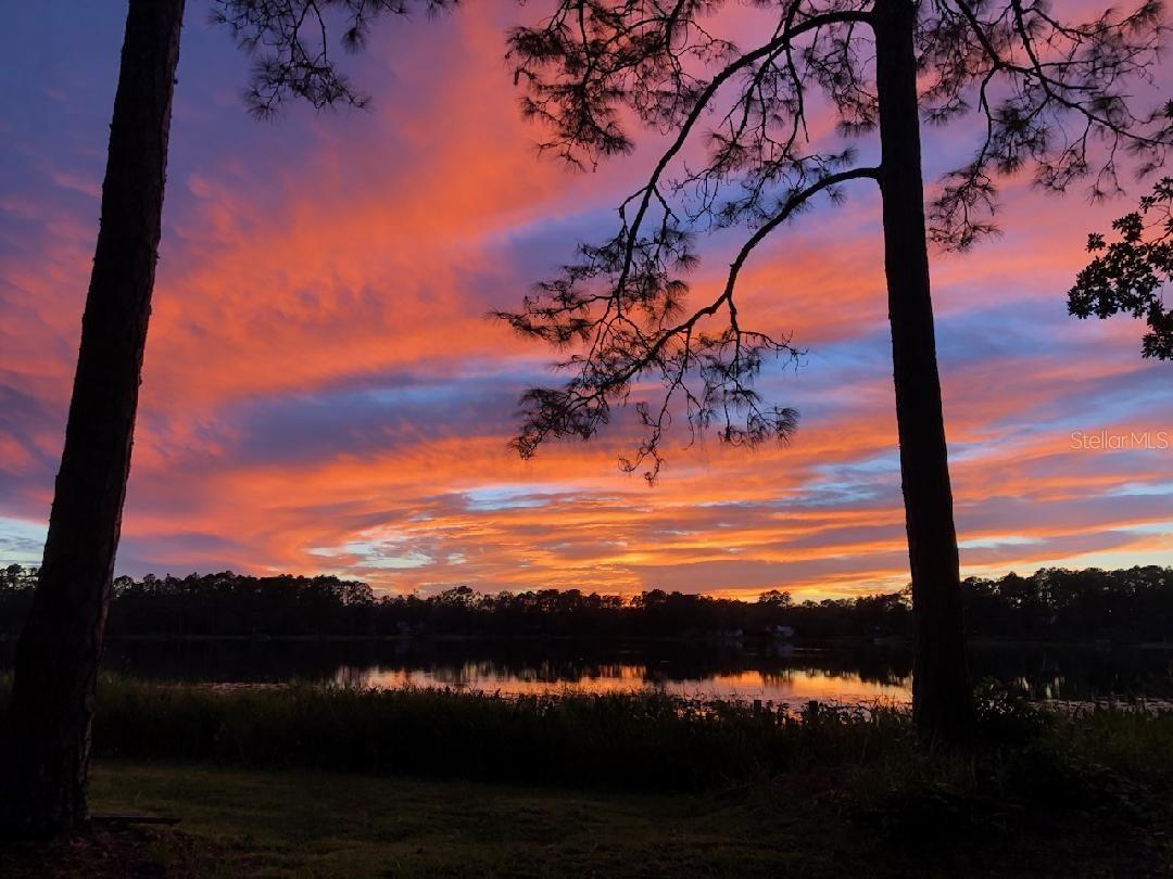 STAR LAKE FOREST - Residential
