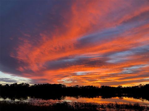 Photo of 161 Riley Lake Drive, Hawthorne, FL 32640 (MLS # OM715297)