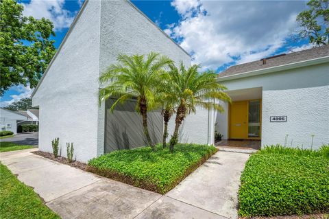 4006 CYPRESS LANE #4006 4006 TAMPA FL 33618