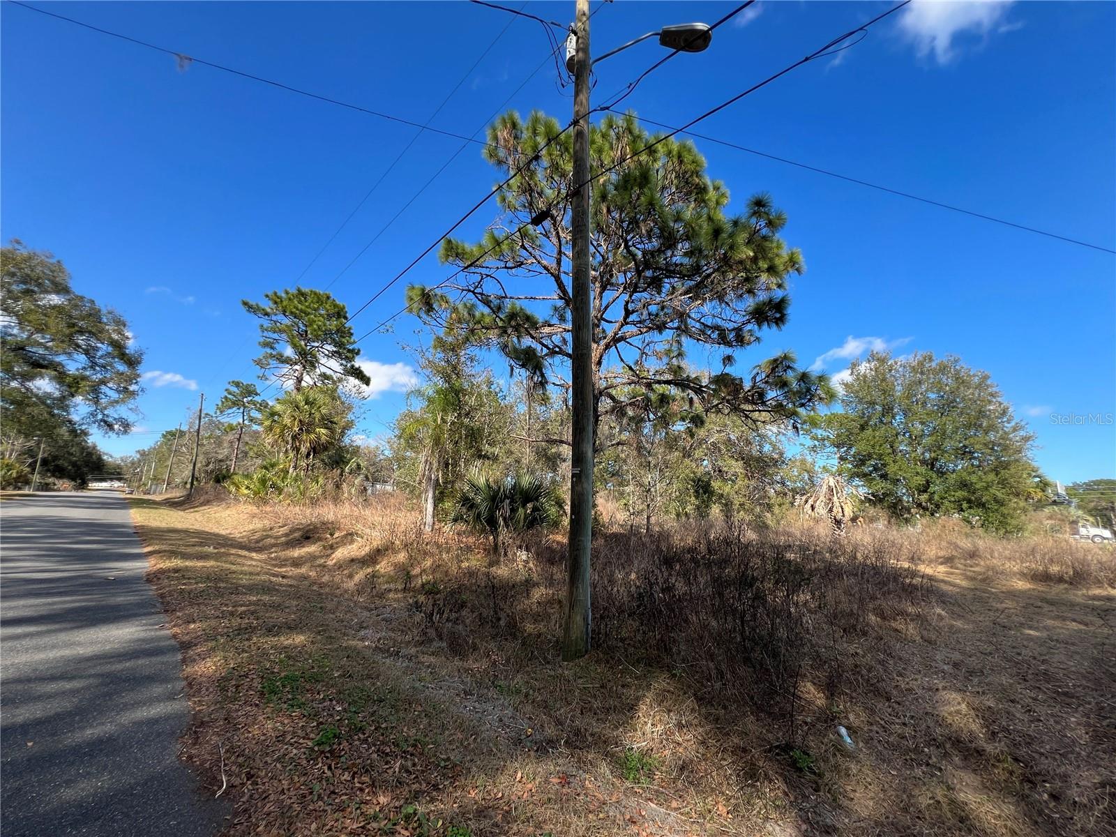 BELLEVIEWS SUNNY SKIES - Land