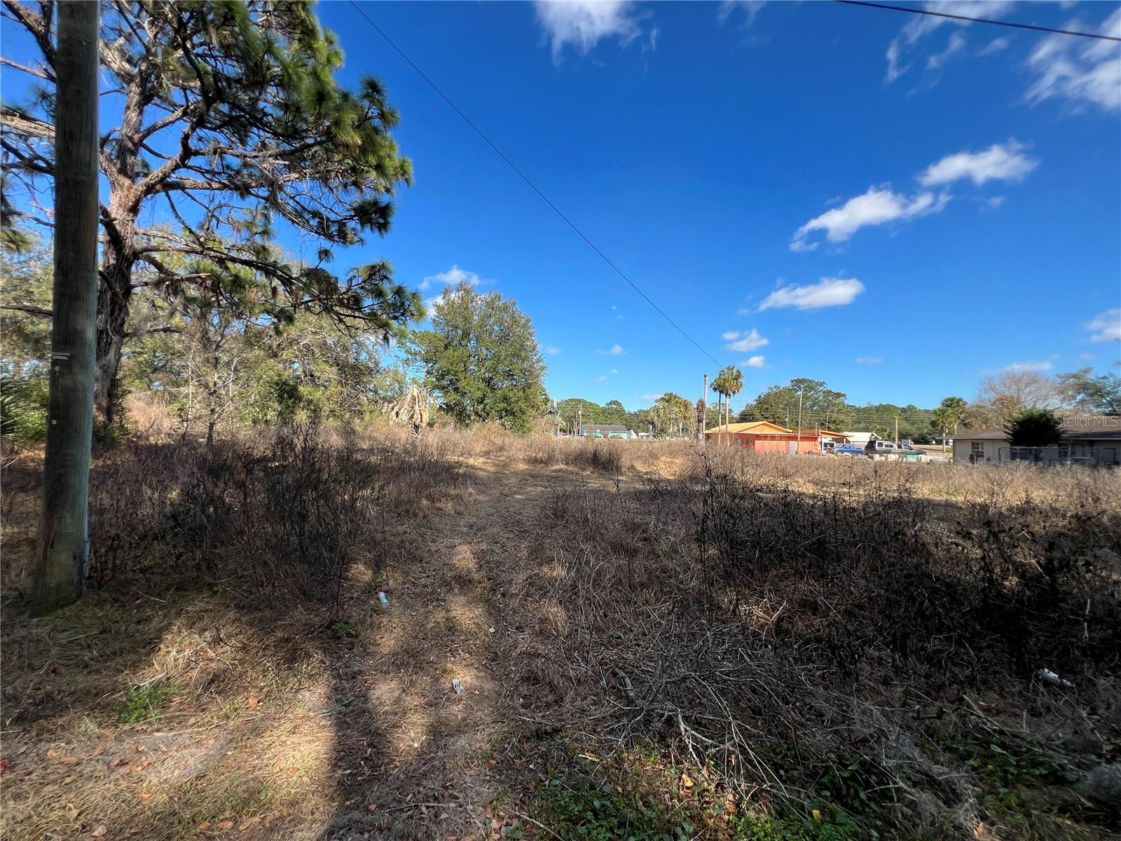 BELLEVIEWS SUNNY SKIES - Land