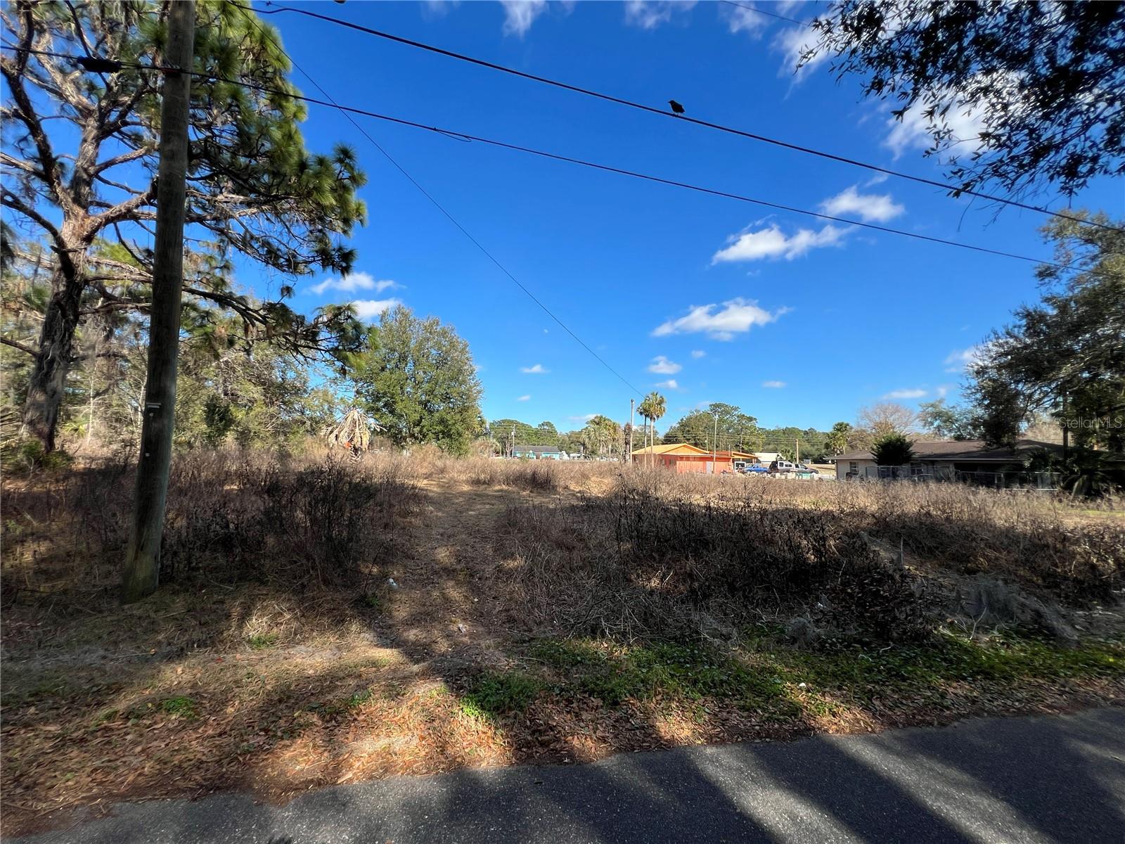 BELLEVIEWS SUNNY SKIES - Land