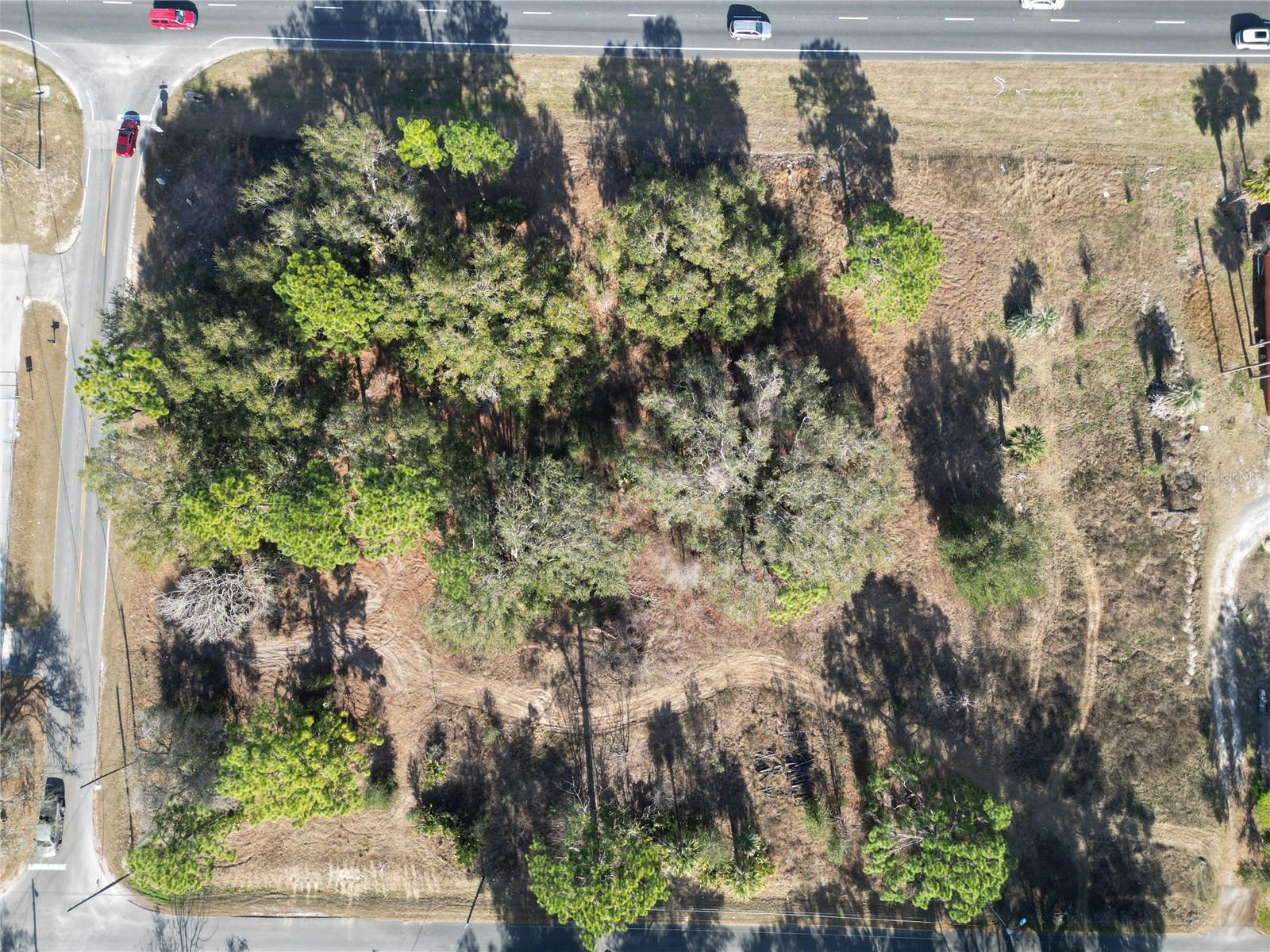 BELLEVIEWS SUNNY SKIES - Land