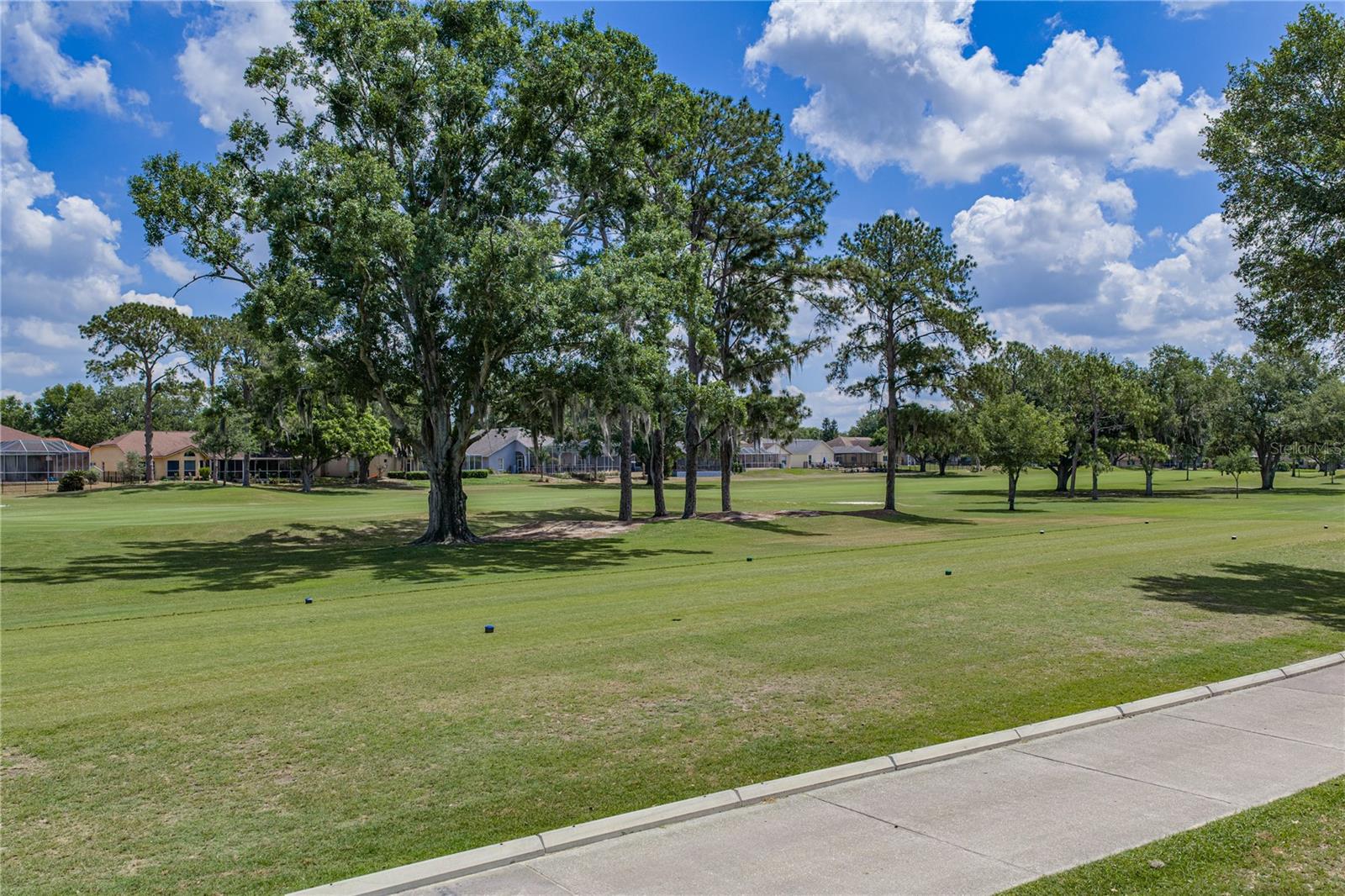 BUCKHORN SECOND ADD UNIT - Residential