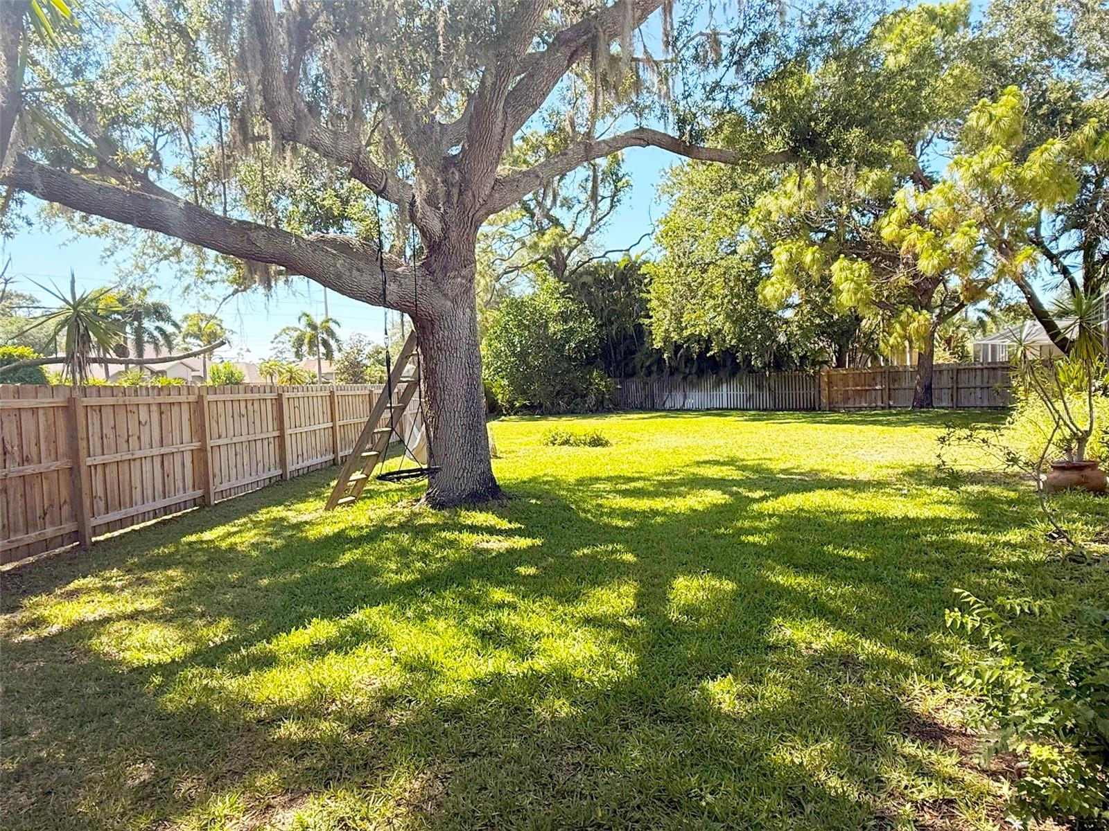 619 OAK RIVER COURT
