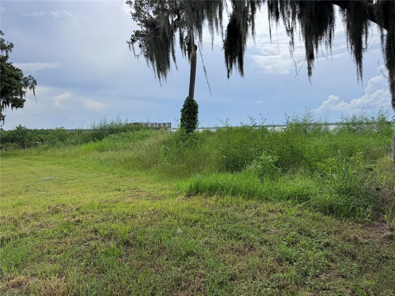 REEDY LAKE ESTATES - Land