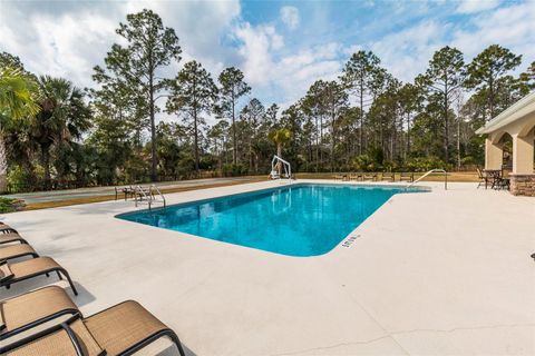 A home in PALM COAST