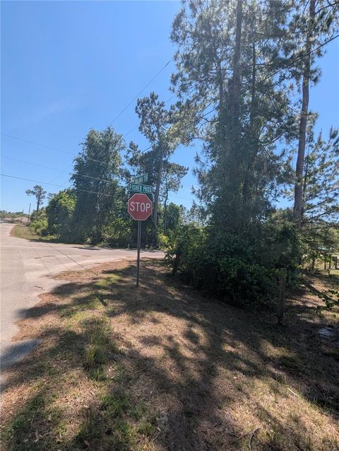 Tiny photo for Fisher Pass Pass #35, Ocklawaha, FL 32179 (MLS # TB8372728)