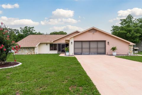 13325 CECIL COURT SPRING HILL FL 34609