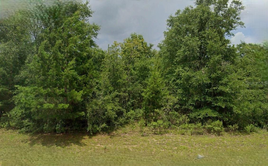 Nice vacant lot. All information provided is deemed reliable but is not guaranteed and should be independently verified.
