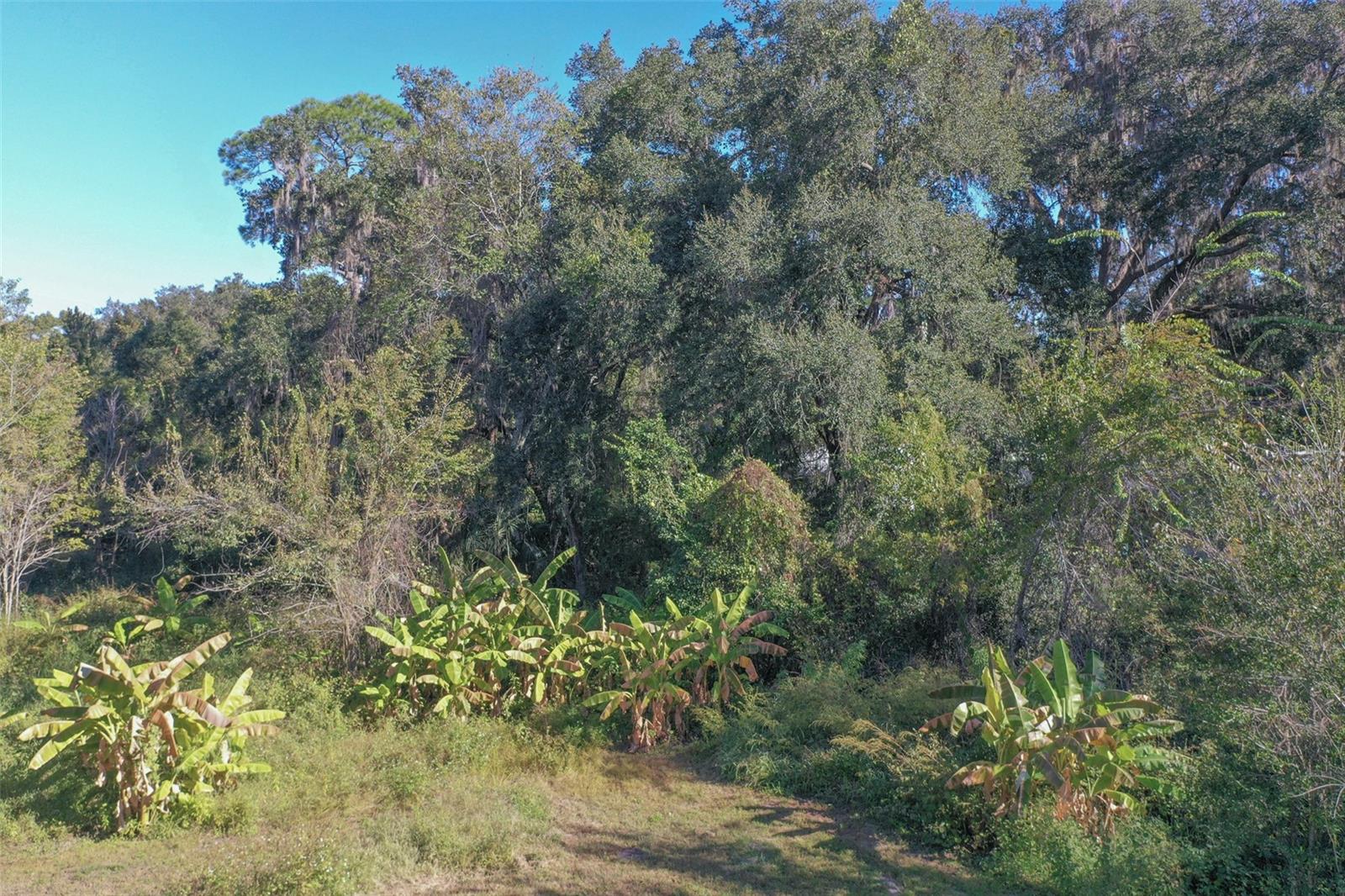 GREENSFIELD #5-U - Residential