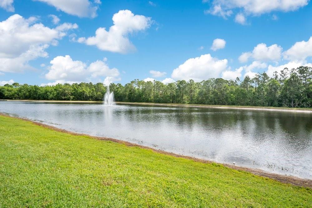 LA VINA 49 135 - Residential