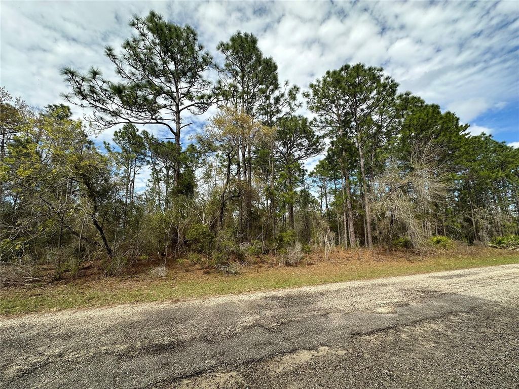 Photo of 1639 W Pendleton Street, Dunnellon, FL 34434 (MLS # OM719812)