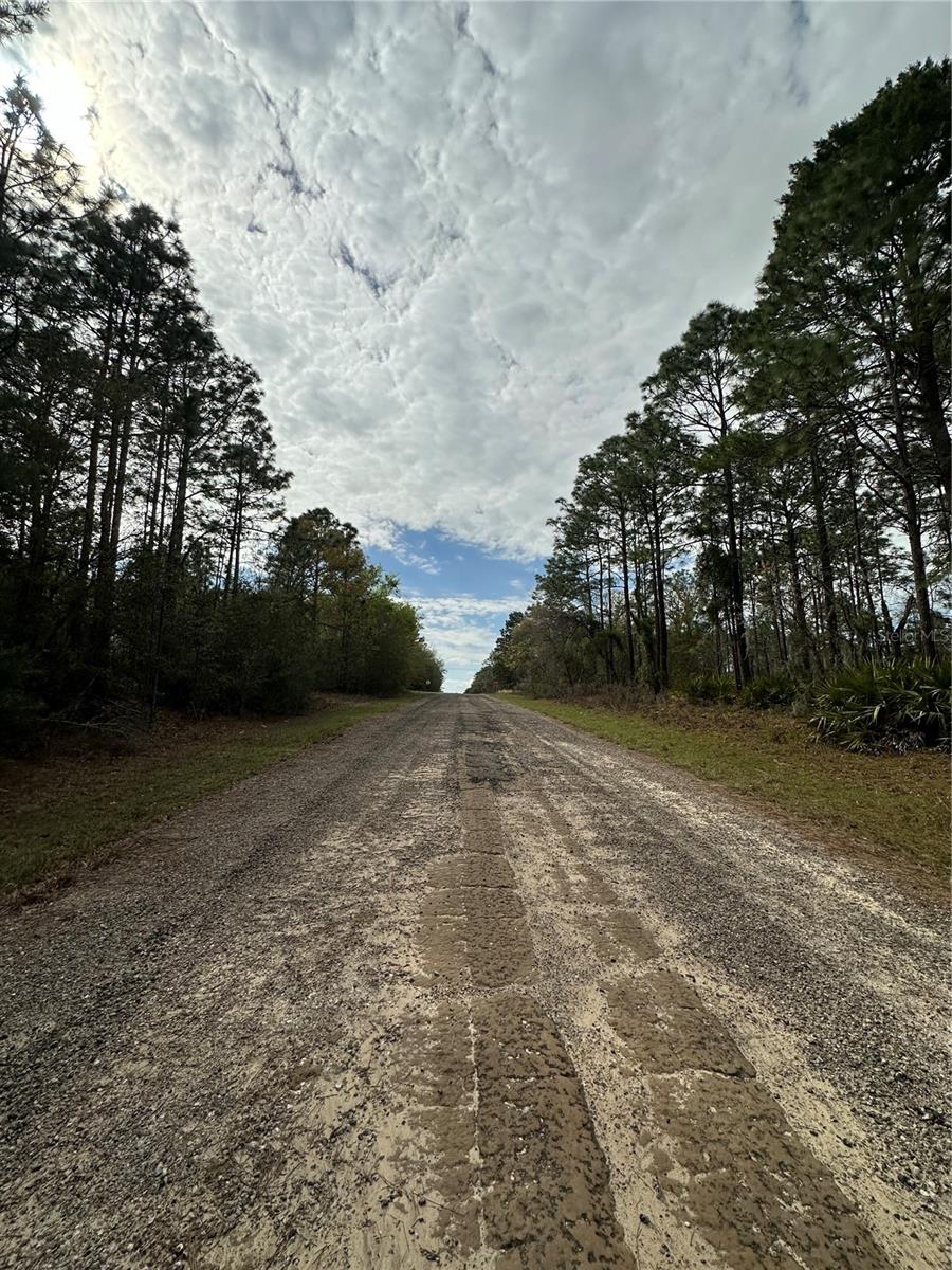 CITRUS SPGS UNIT 23 - Land