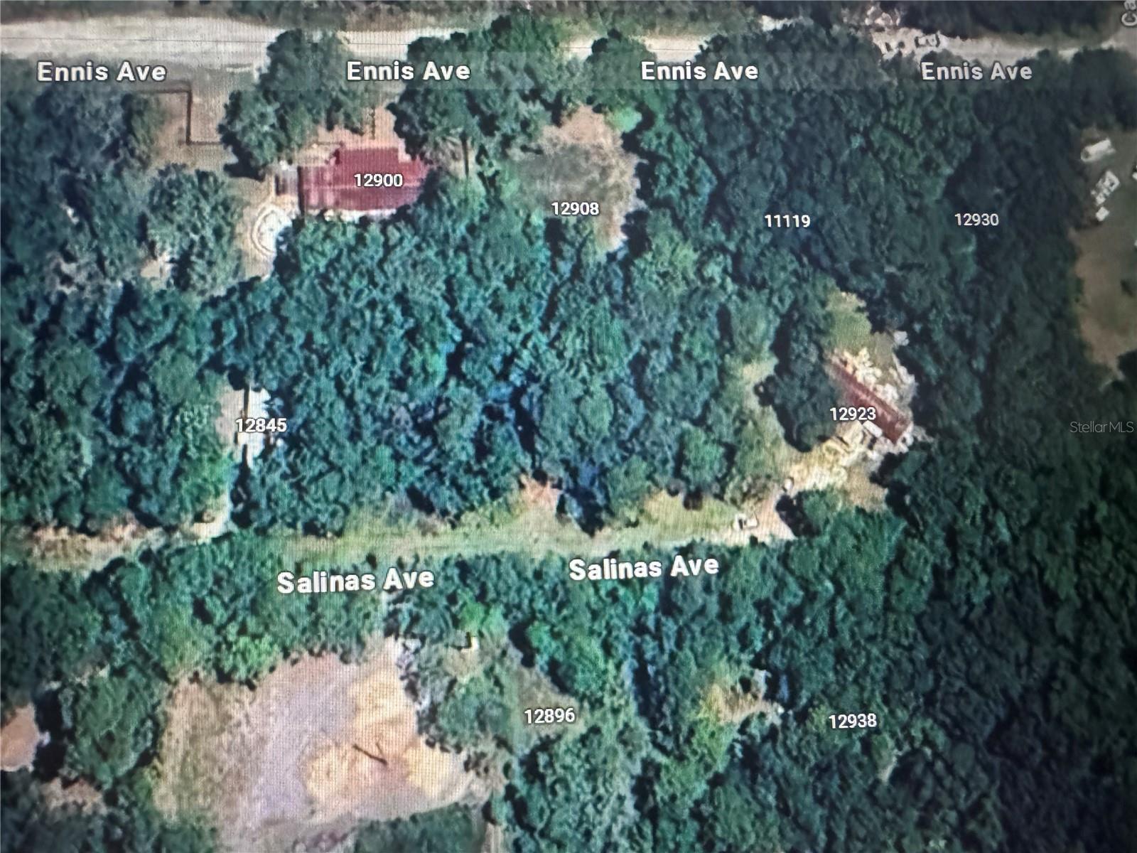 Rare opportunity to own nearly half an acre in the heart of Moon Lake Estates! This spacious .44-acre wooded lot offers natural privacy and flexibility for future development. Already equipped with well and septic, much of the heavy lifting is done—perfect for a new custom home, mobile home, or investment property.
Enjoy the freedom of no HOA and no CDD fees, along with easy access to shopping, dining, and major highways. Whether you're ready to build now or want to secure land for the future, this high-and-dry parcel is a smart buy in a growing community.