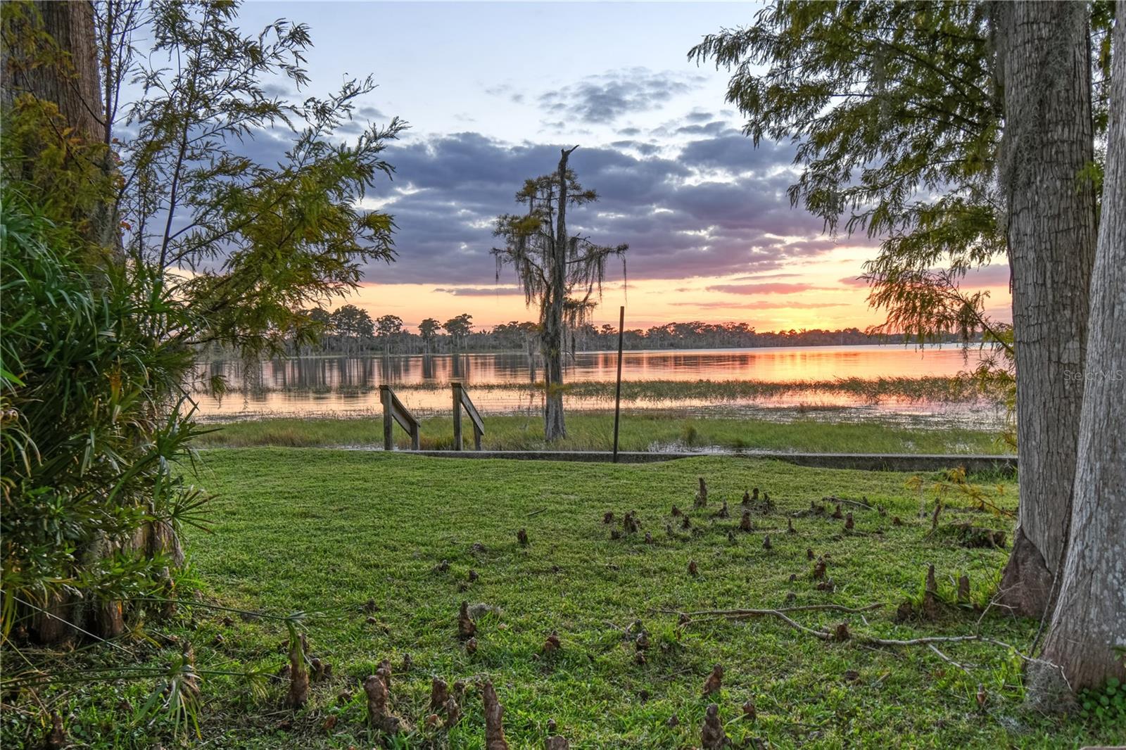 MILLIONAIRS ROW - Land