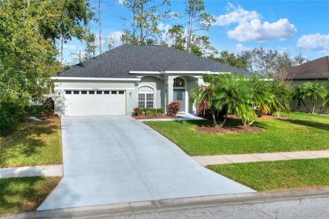 A home in ZEPHYRHILLS