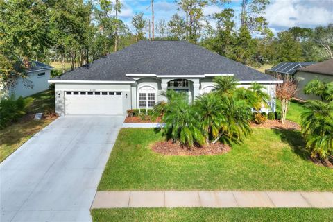 A home in ZEPHYRHILLS