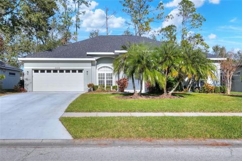 A home in ZEPHYRHILLS