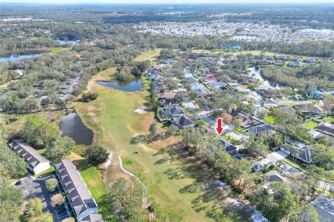 A home in ZEPHYRHILLS