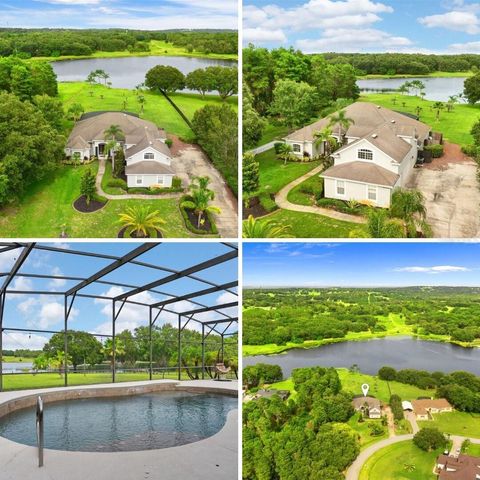 10701 DARK WATER COURT CLERMONT FL 34715