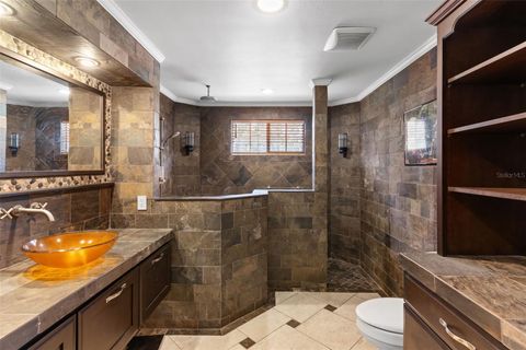 Tiny photo for 10701 Dark Water Court, Clermont, FL 34715 (MLS # O6376733)