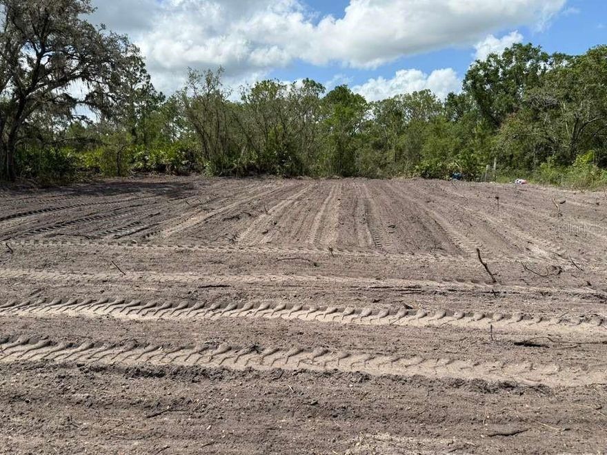 Auction Property. Prime Development Opportunity – Expansive Lot in Avon Park

Discover an exceptional land opportunity in Avon Park, featuring an impressive 100 feet of frontage and 102 feet of depth, offering a generous and versatile space for a wide range of development possibilities. This well-proportioned lot provides excellent visibility, easy access, and the ideal layout for residential or investment purposes.

Strategically located near a major roadway, the property ensures convenience and strong connectivity while still maintaining an attractive setting. Its proximity to highly regarded schools makes it especially appealing for families, developers, and investors seeking long-term value in the area.

With its prime Avon Park location, substantial dimensions, and strong surrounding infrastructure, this land presents a rare chance to build, develop, or hold a valuable asset in a sought-after community. Opportunities like this are limited—secure your place in one of Avon Park’s most promising locations.