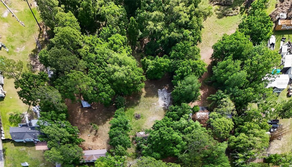 Photo of 1263 Saint Nicholas Avenue, Christmas, FL 32709 (MLS # O6398145)